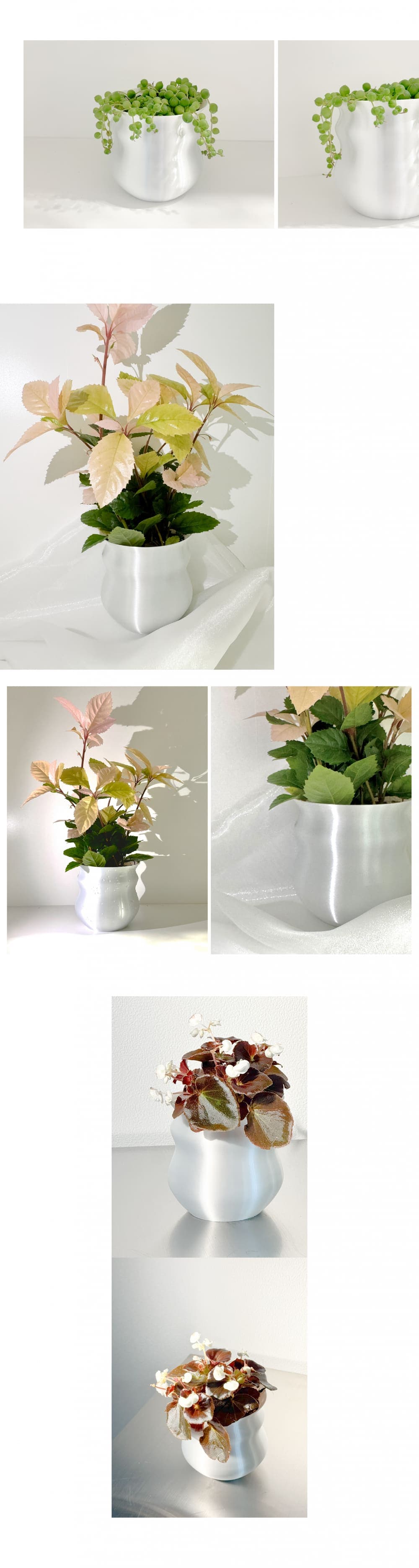Wave-White (L Size) 상세 이미지 1